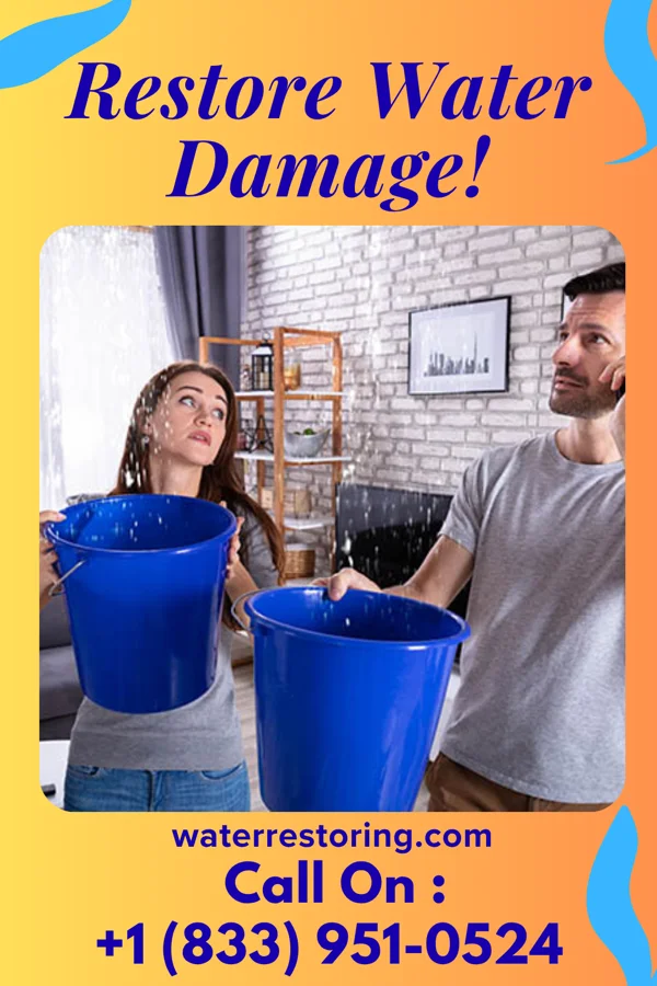 water restoration Golden Cleanup Network Langhorne Manor
