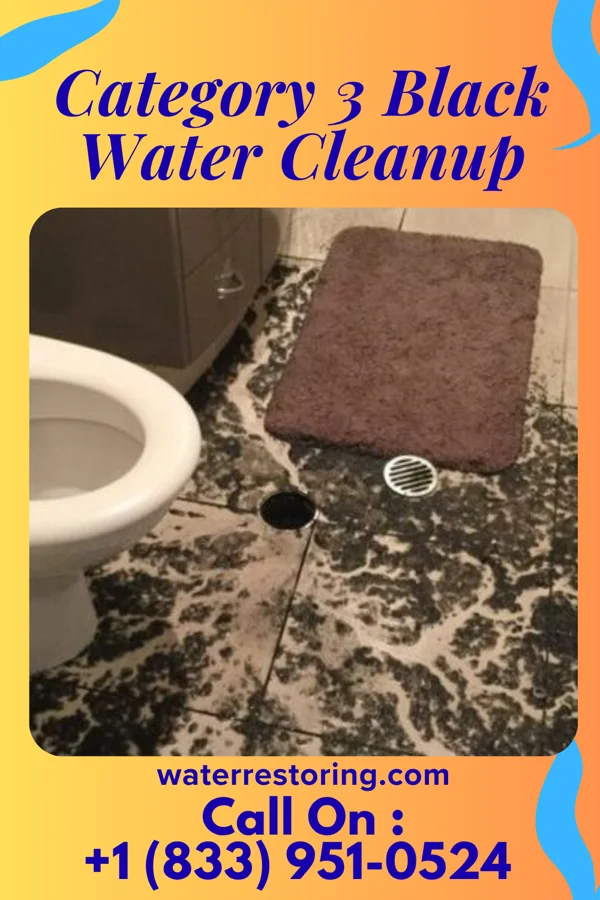 Category 3 Black Water Cleanup in Langhorne Manor, PA