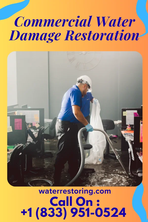 Commercial Water Damage Restoration in Langhorne Manor, PA