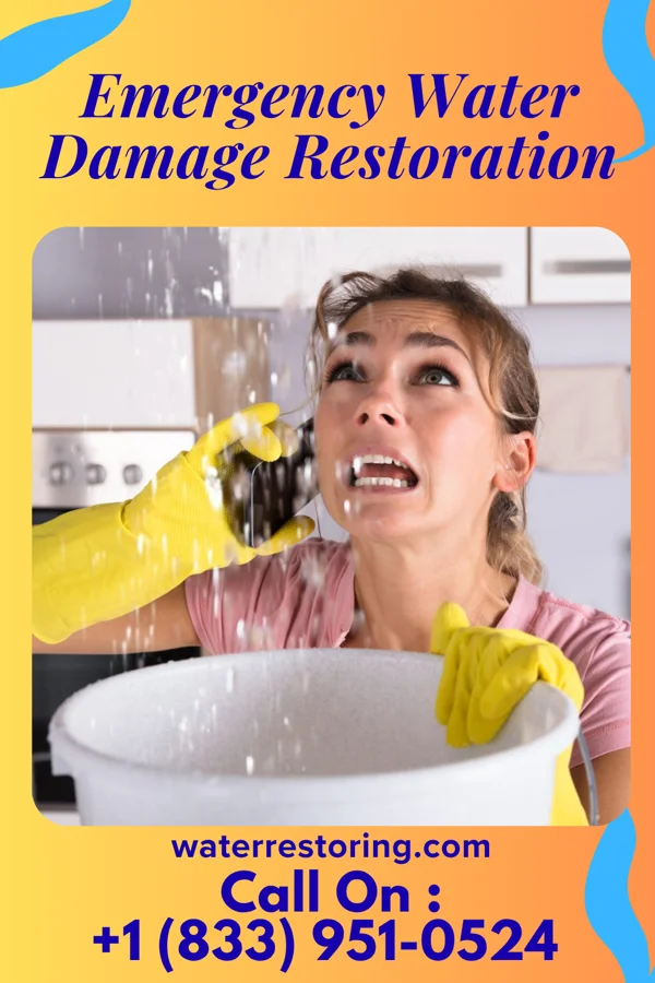 Emergency Water Damage Restoration in Langhorne Manor, PA