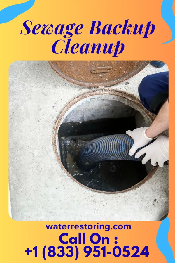 Sewage Backup Cleanup in Langhorne Manor, PA
