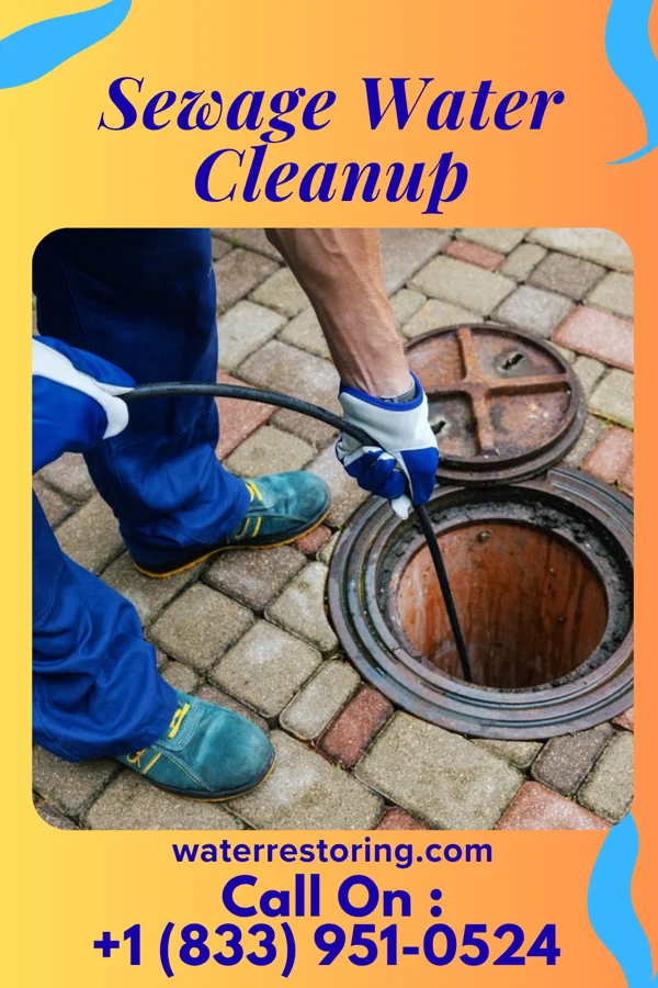 Sewage Water Cleanup in Langhorne Manor, PA